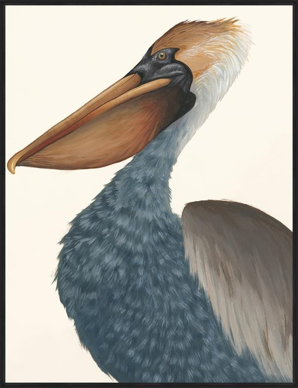 Drawn Pelican I Artwork