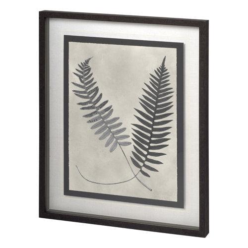 Vintage Fern Study - Grove Collective