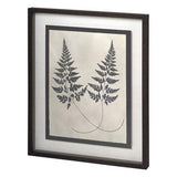 Vintage Fern Study - Grove Collective